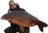 TheCarpStalker