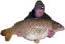 carpbandit84