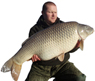 steveelmes